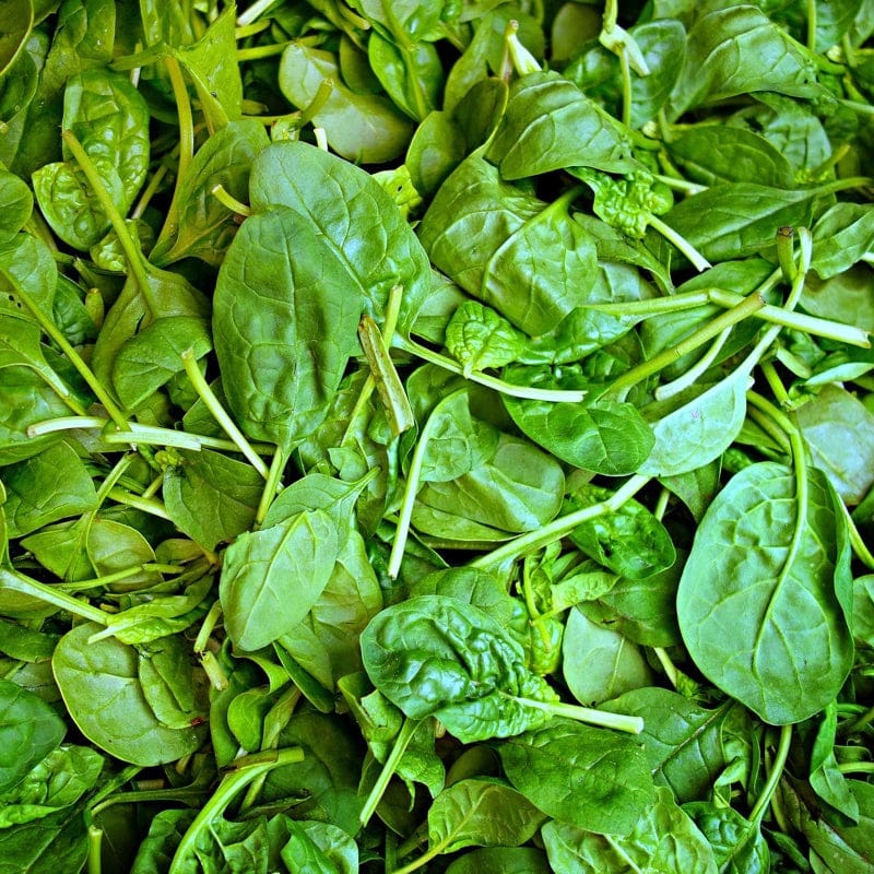 Pinetree Spinach Mix  (1/2 oz)