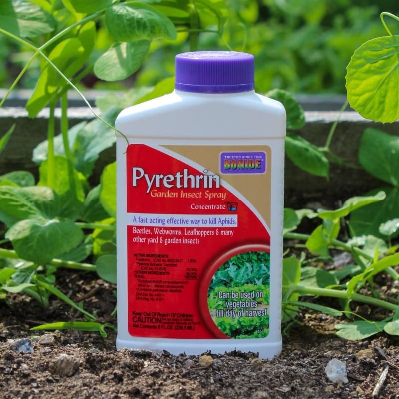 Pyrethrin Garden Insect Spray|Default