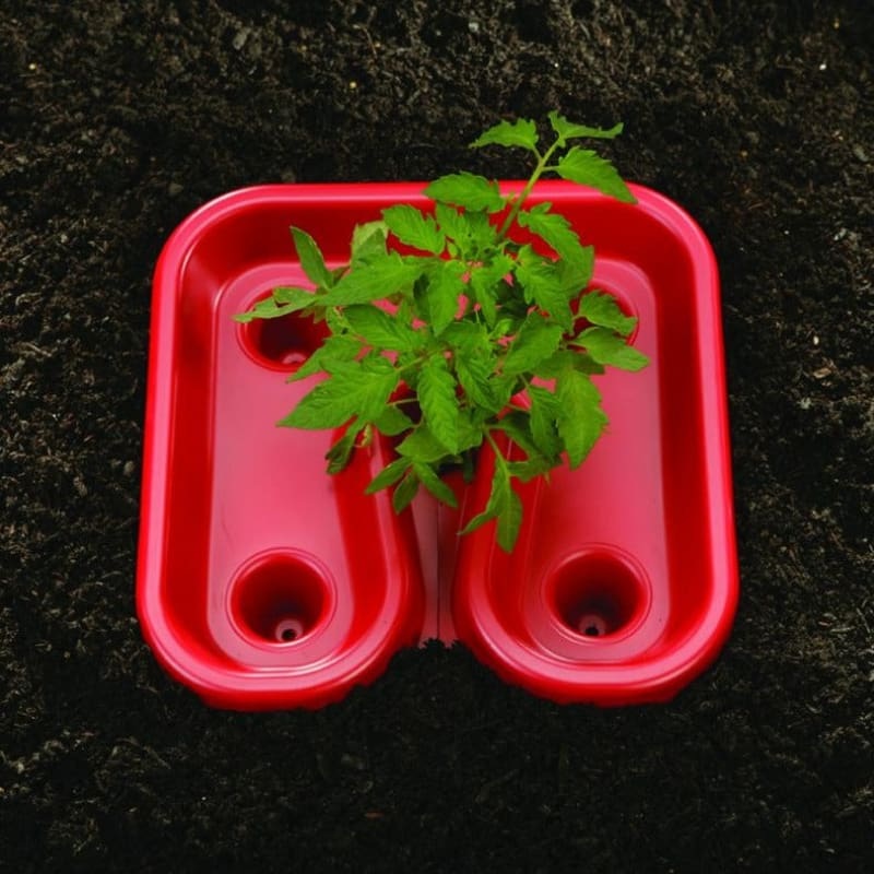 Red Tomato Trays (3)