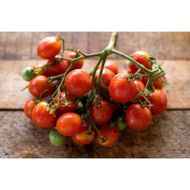 Riesenstraube Tomato (Heirloom, 80 Days)