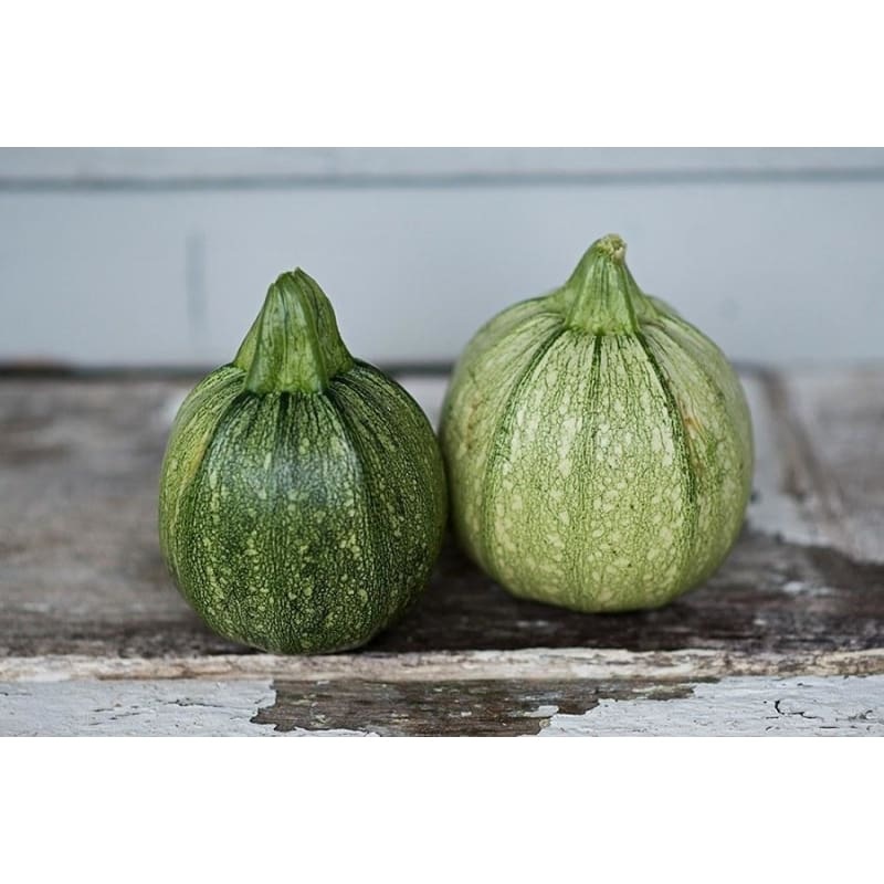 Ronde De Nice Summer Squash (Heirloom 50 Days)