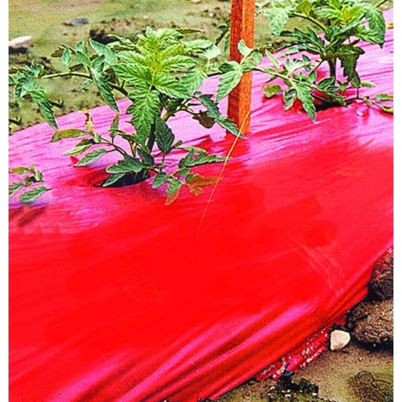 Selective Reflective Mulch (SRM) – Red Plastic