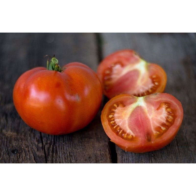 Soldacki Tomato (Heirloom, 80 Days)