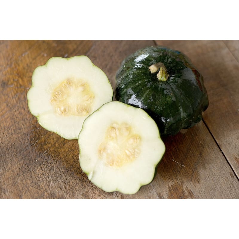 Starship Scallop Summer Squash (F1 Hybrid, 45 Days)