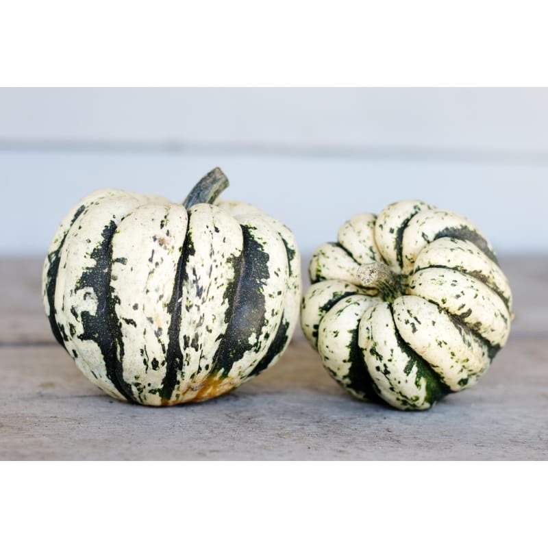 Sweet Dumpling Squash (100 Days)