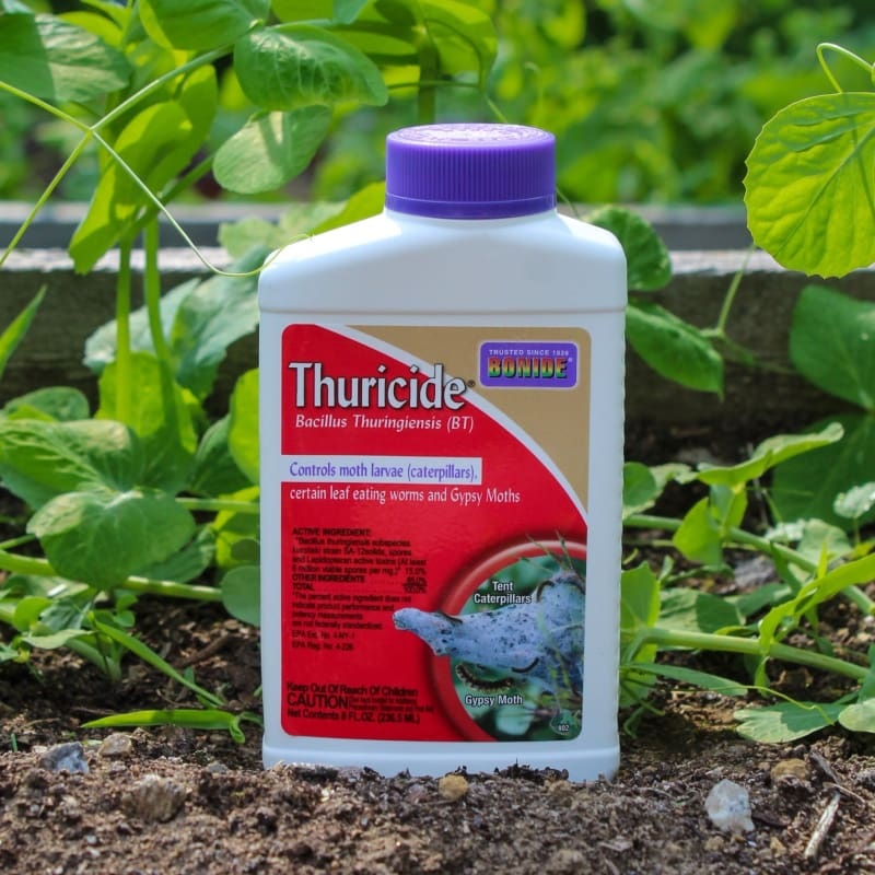 Thuricide – Bacillus Thuringiensis