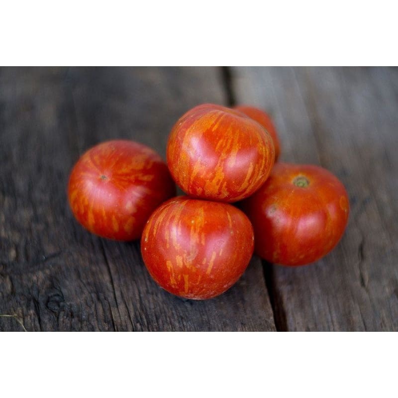 Tigerella Tomato (Heirloom, 55-65 Days)