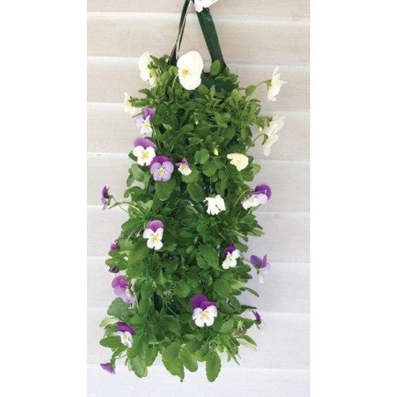 AL’S FLOWER POUCH GROWING BAG