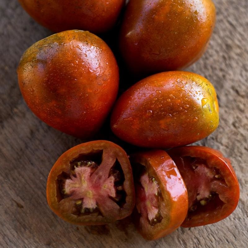 Amish Paste Tomato (Organic 85 Days)
