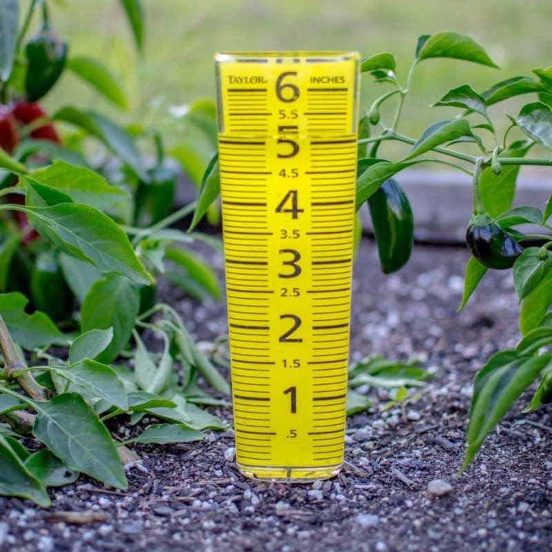 Basic Rain Gauge