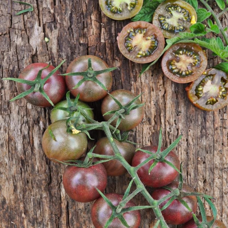 Black Cherry Tomato (Organic 80 Days)