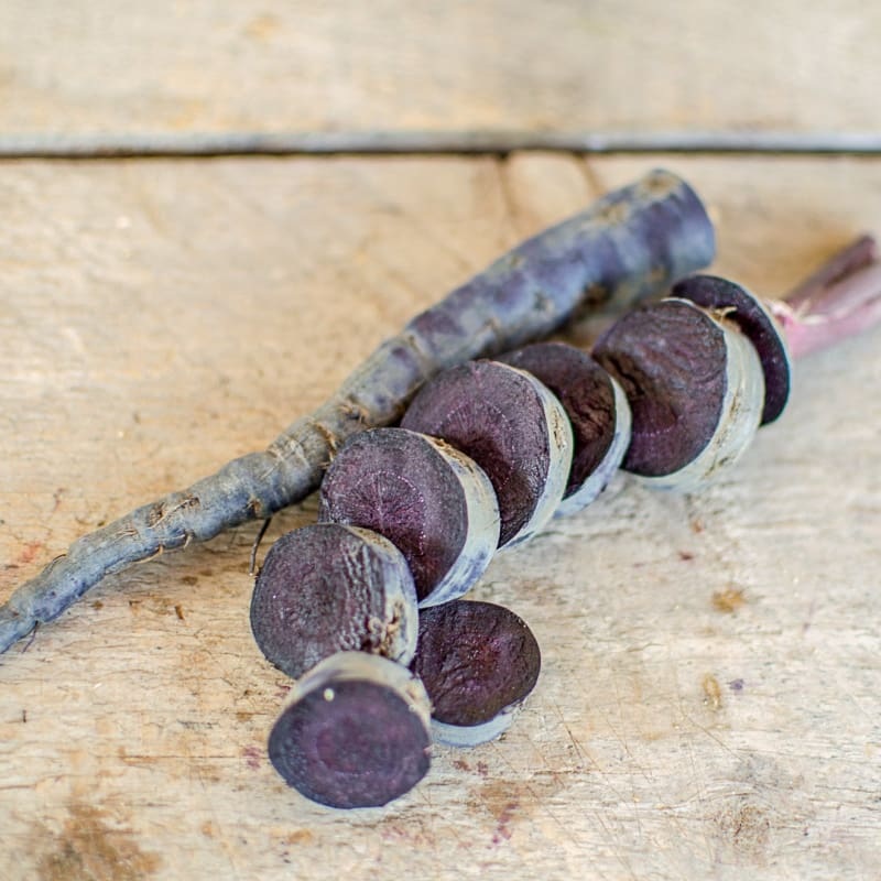 Black Nebula Carrot (70 Days)