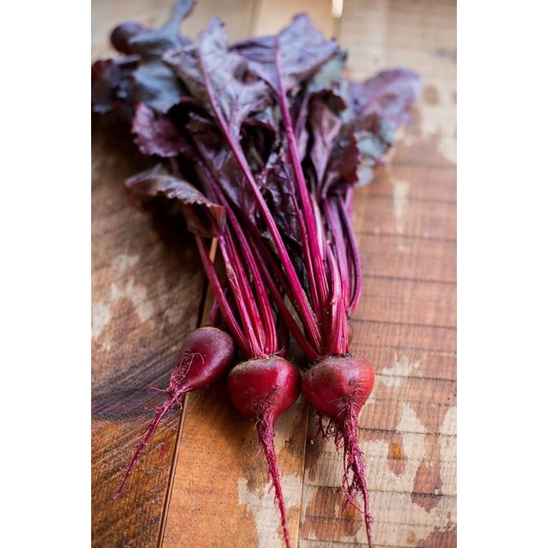 Bulls Blood Beet Microgreens (1oz)