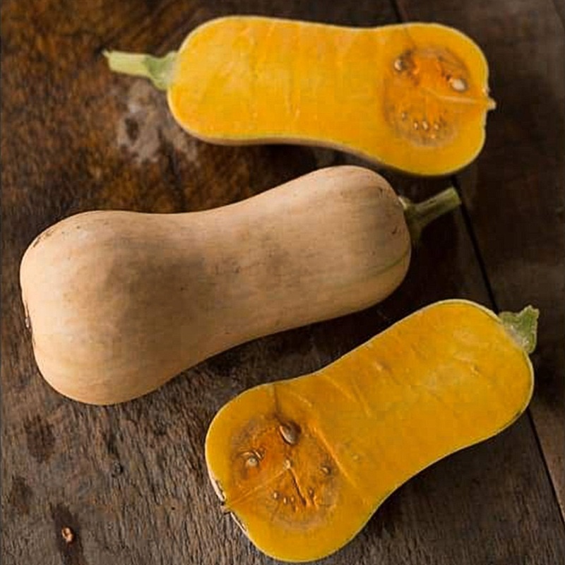 Butterscotch Winter Squash (F1 Hybrid 100 Days)