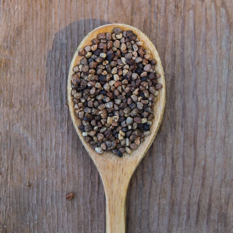 Cardamom Whole (1/2 oz)