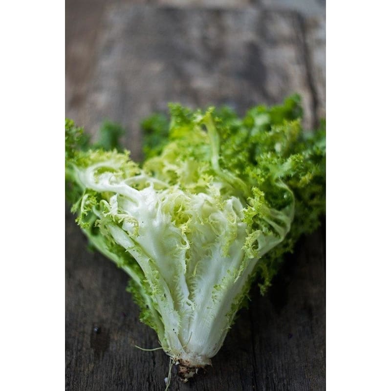 Frisee Endive (60 Days)