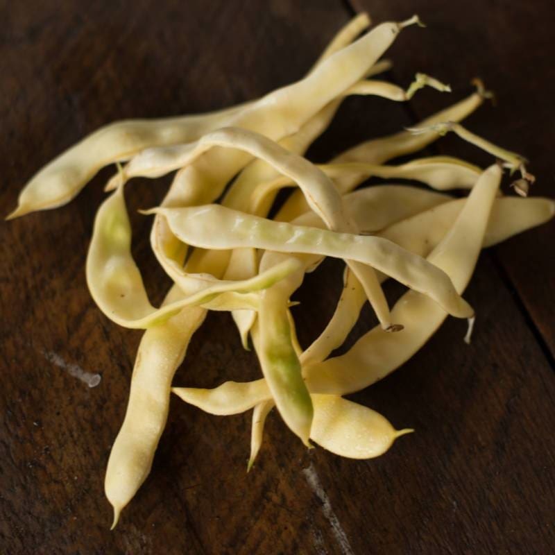 Gold Marie Pole Bean (Organic 75 Days)