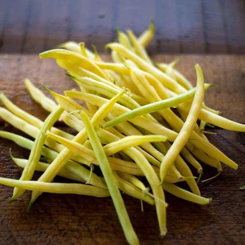 Gold Rush Bush Bean (54 Days)