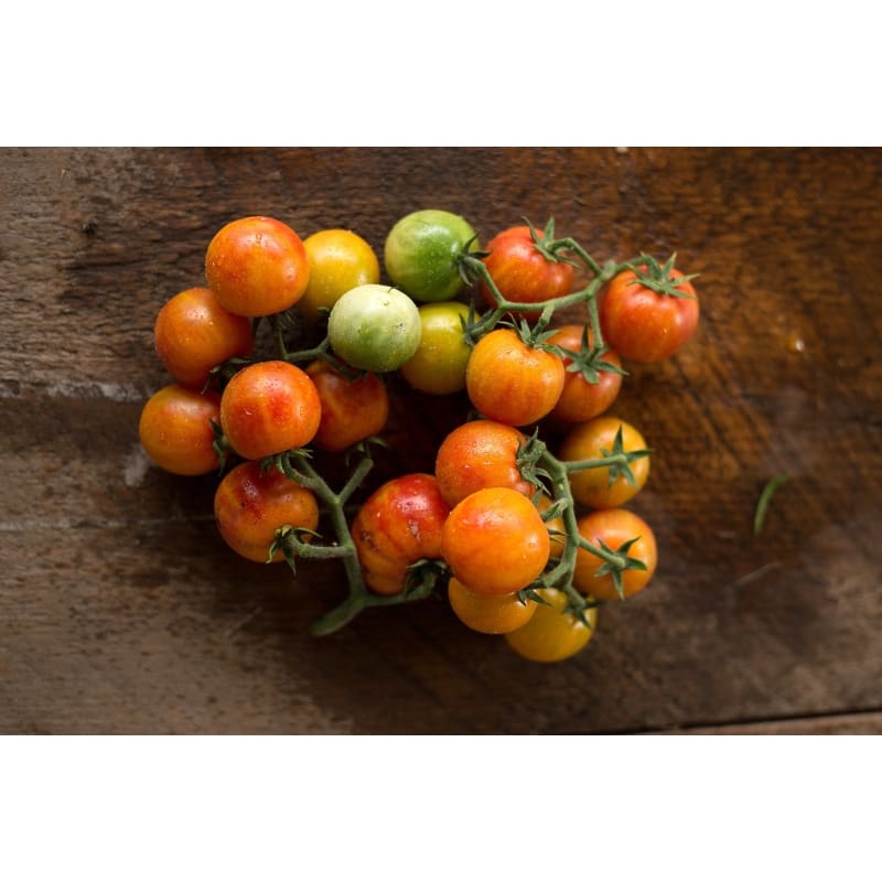Isis Candy Tomato (75 Days)