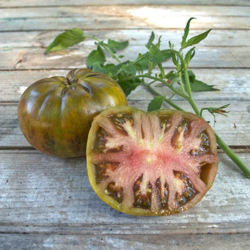 Large Barred Boar Tomato (Organic 65-75 Days)