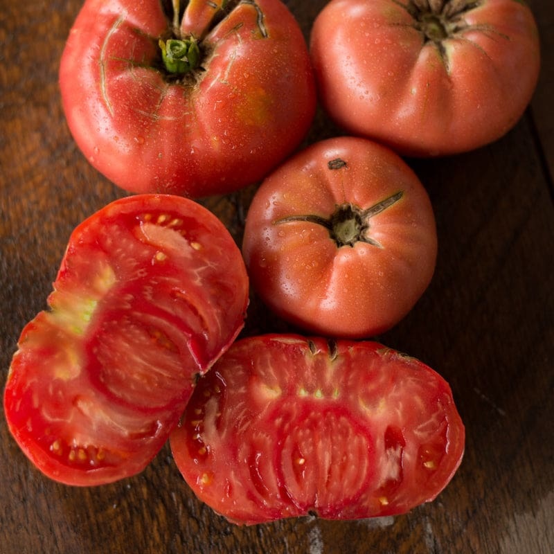 Marianna’s Peace Tomato (Heirloom, 85 Days)