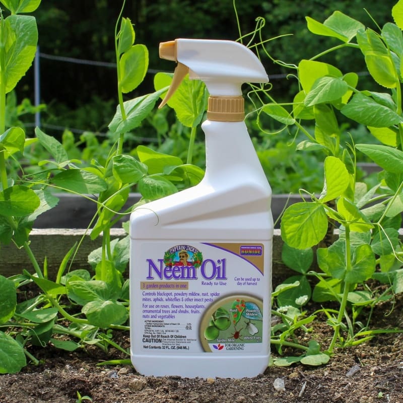 Neem Oil 32 oz. RTU
