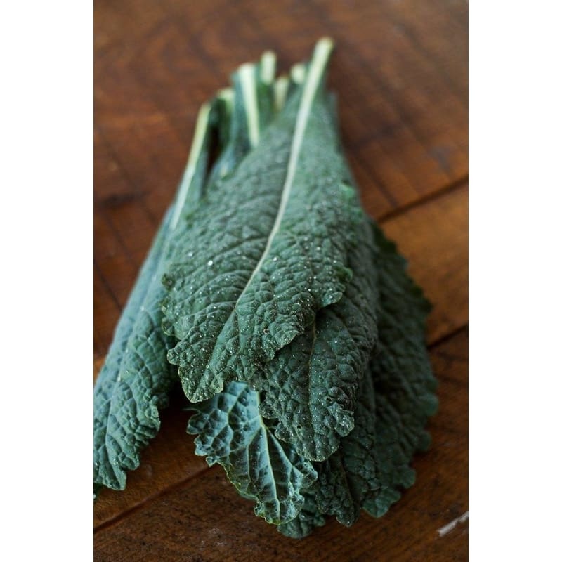 Nero di Toscana Kale (Heirloom, 55 Days)