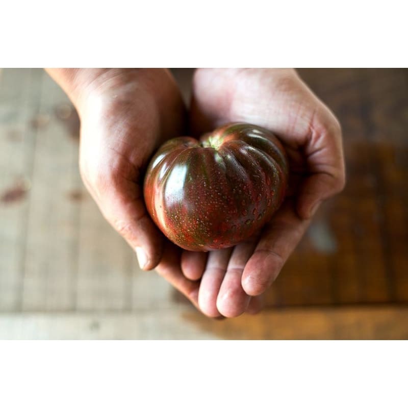 Pink Berkeley Tie Dye Tomato (Organic, 75 Days)