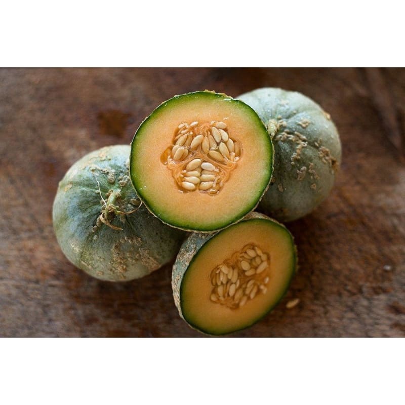 True Charentais Melon (Heirloom, 80 Days)
