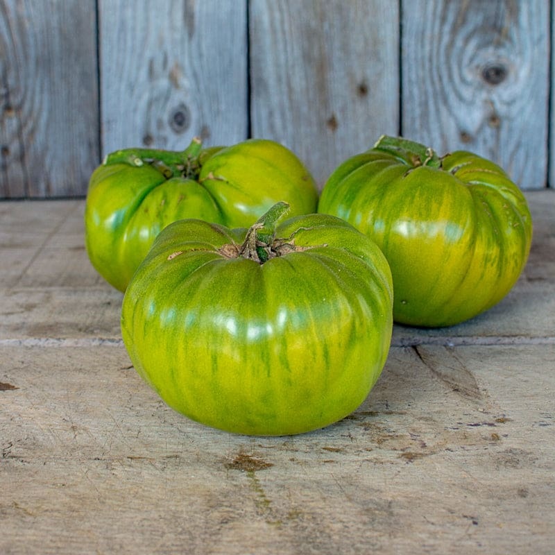 Aunt Rubys German Green Tomato (Heirloom, 80 Days)