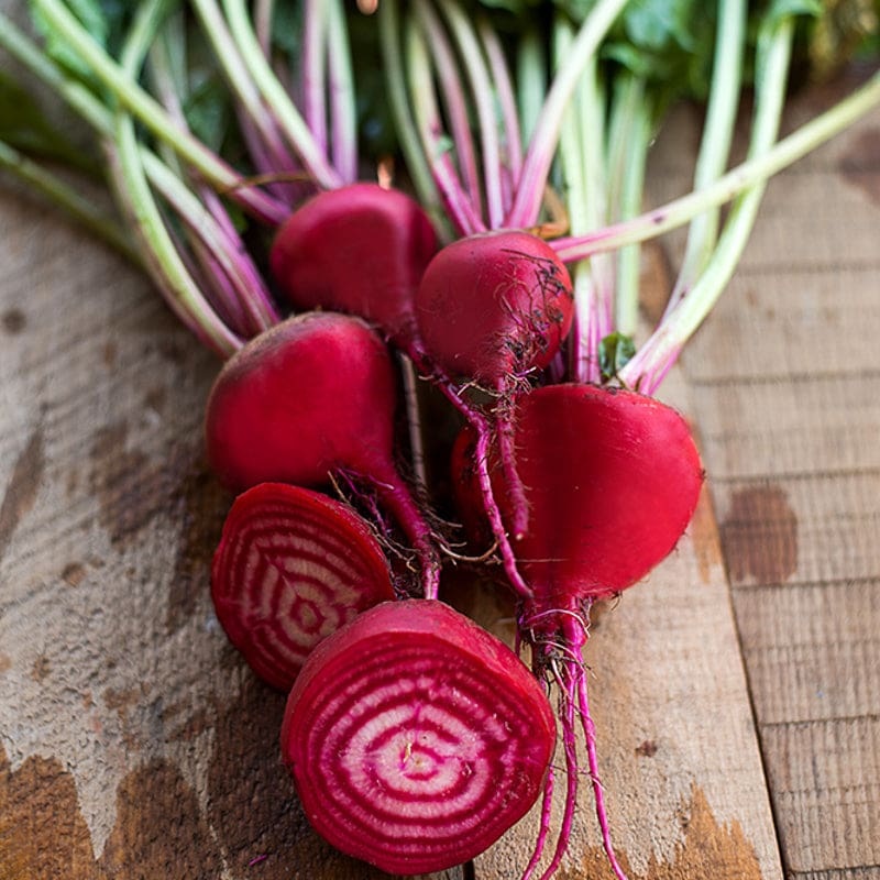 Chioggia Beet (Heirloom, 55 Days)