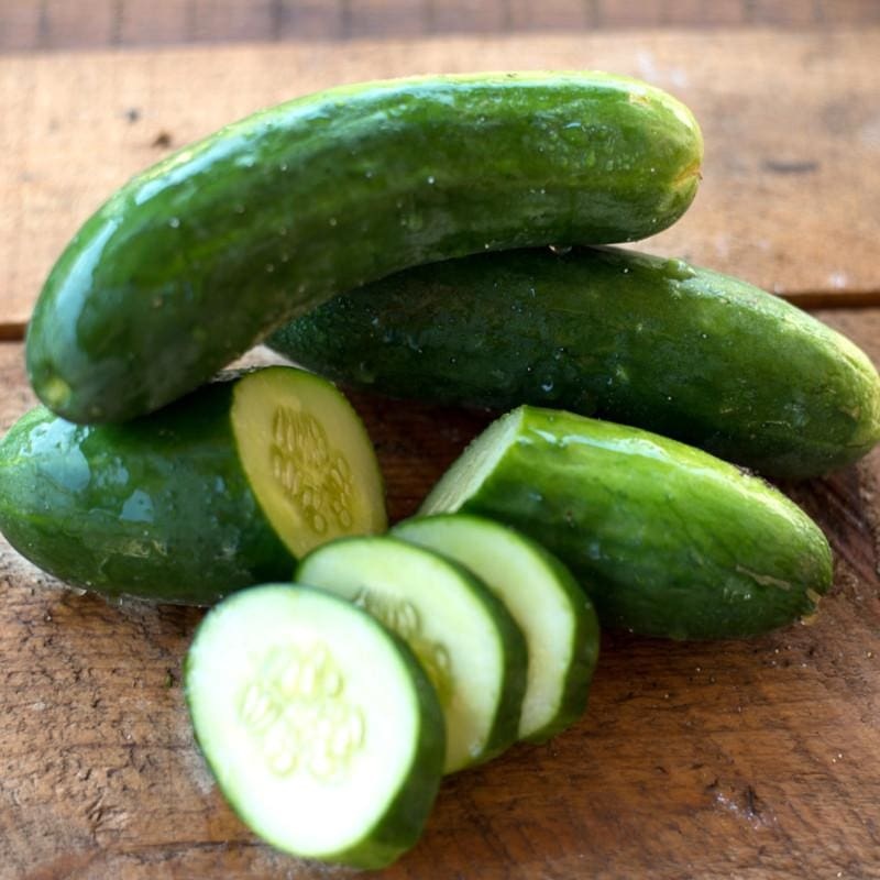 Diva Cucumber (58 Days)