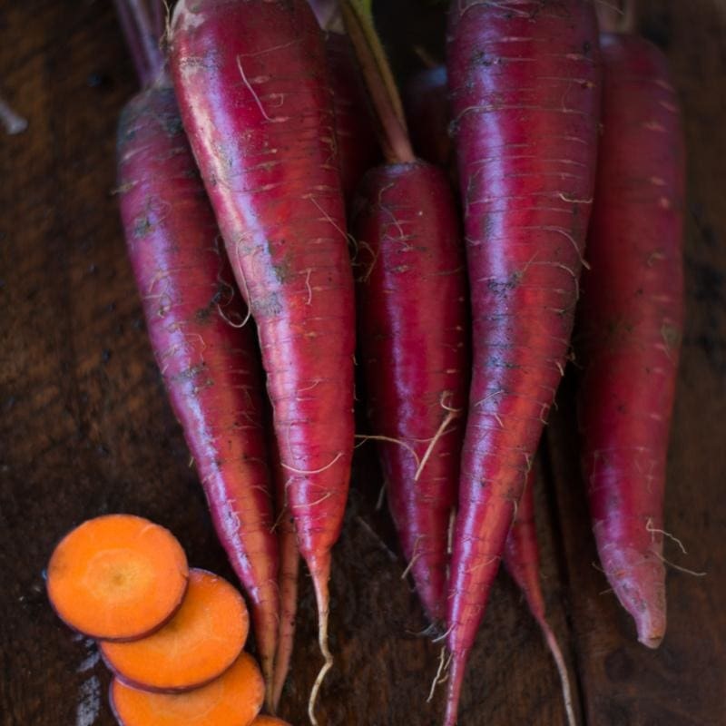 Dragon Carrot (85 Days)