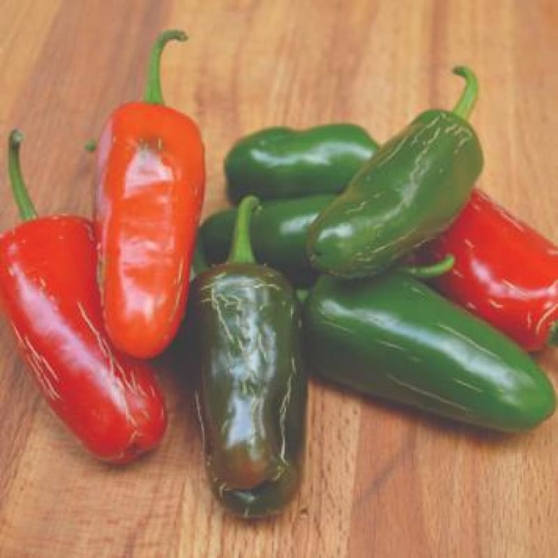 Early Jalapeo Hot Pepper (Heirloom 66 Days)