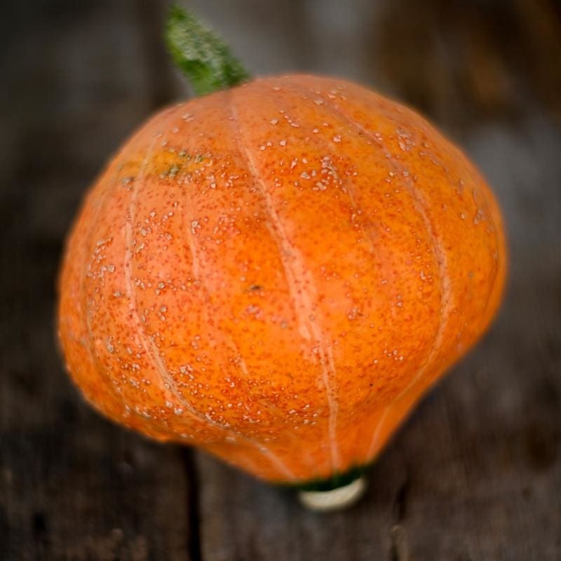 Gold Nugget Squash (95 Days)