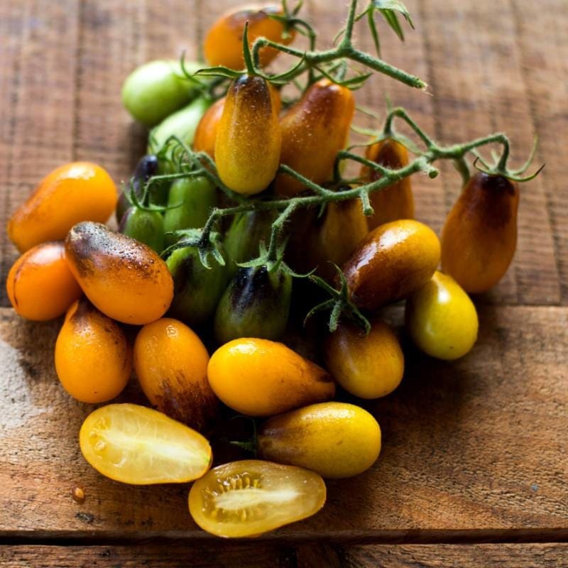 Indigo Pear Drops Tomato (Organic 65 Days)