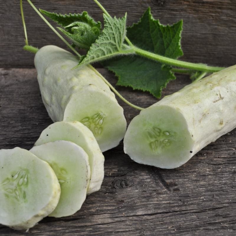 Itachi Cucumber (F1 Hybrid, 54 Days)