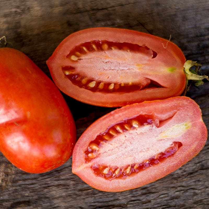 Martinos Roma Tomato (75 Days)