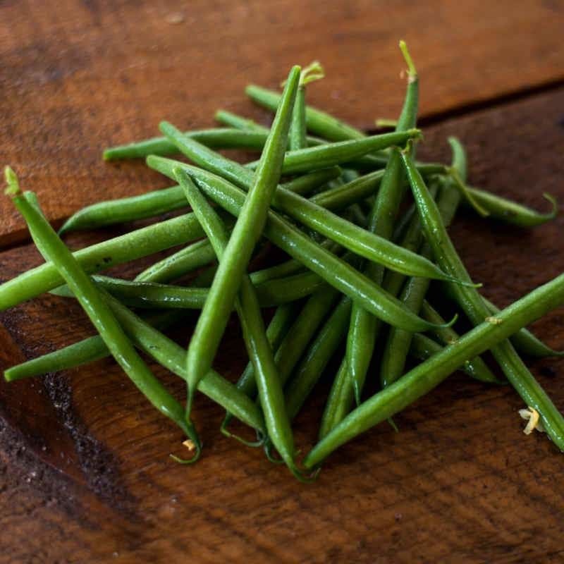 Masai Bush Bean (47 Days)