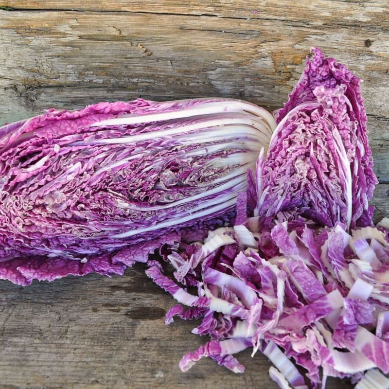 Merlot Chinese Cabbage (F1 Hybrid 60 Days)