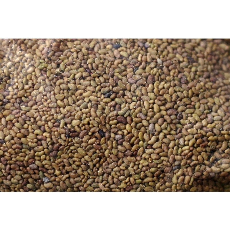 Regen Alfalfa|1 lb|5 lb