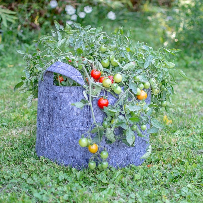 Root Pouch 15 gallon with Handles