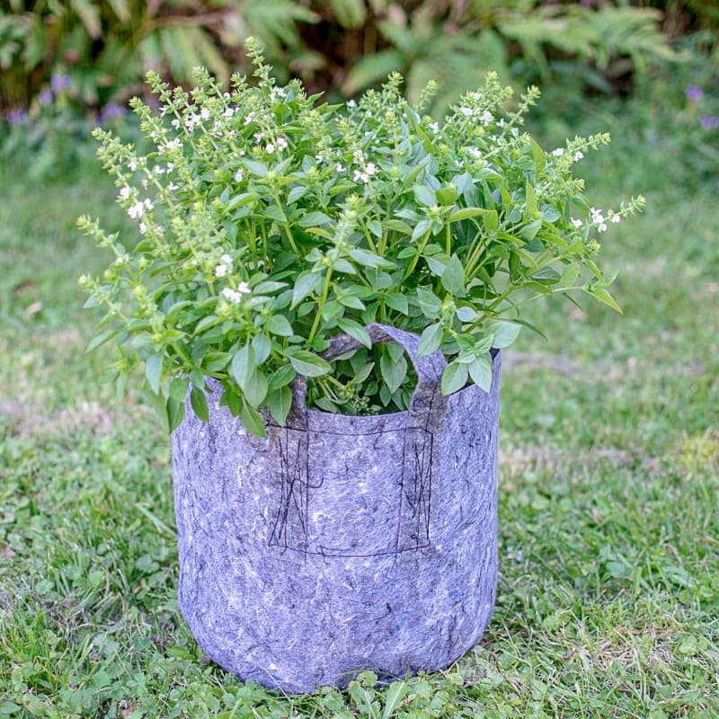 Root Pouch 5 Gallon with Handles