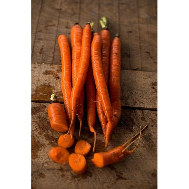 Sugar Snax Carrot (F1 Hybrid, 63 Days)