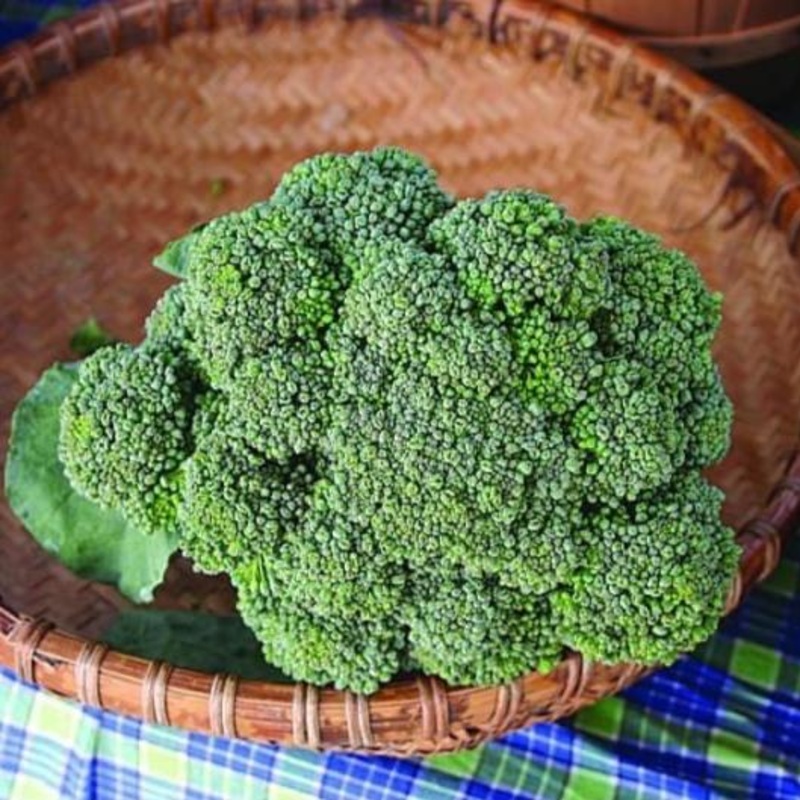 Waltham 29 Broccoli (85 Days)