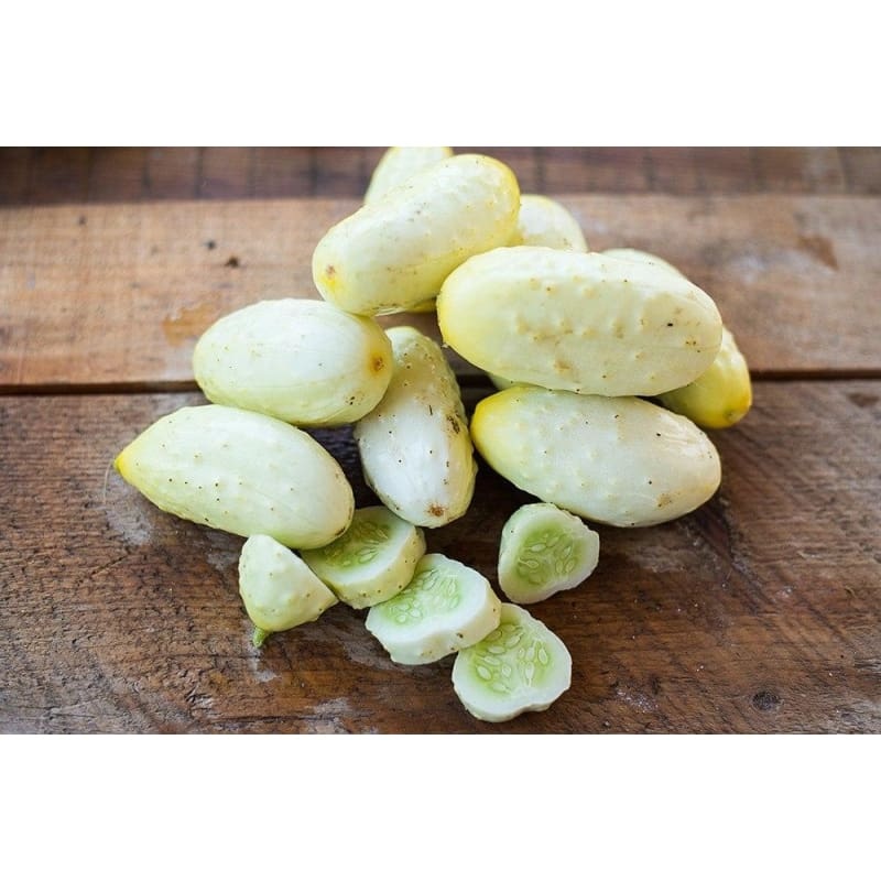 White Wonder Cucumber (Heirloom, 60 Days)