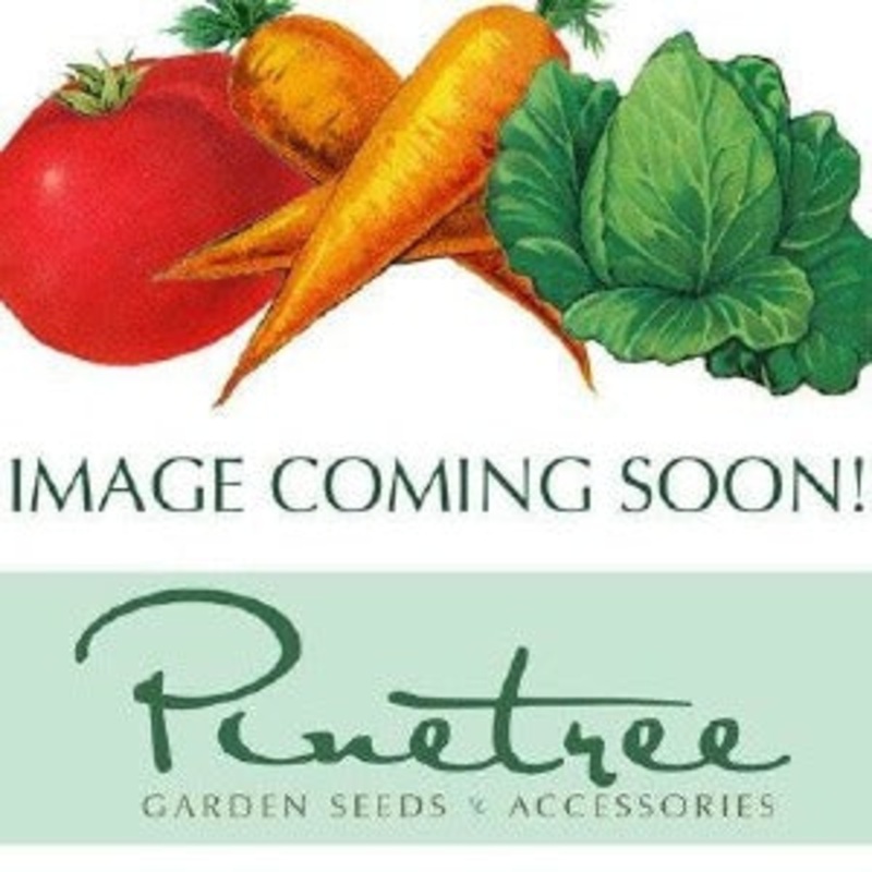 Winter Squash Blend (90-120 Days)