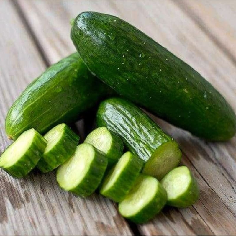 Beit Alpha Cucumber (F1 Hybrid 52 Days)