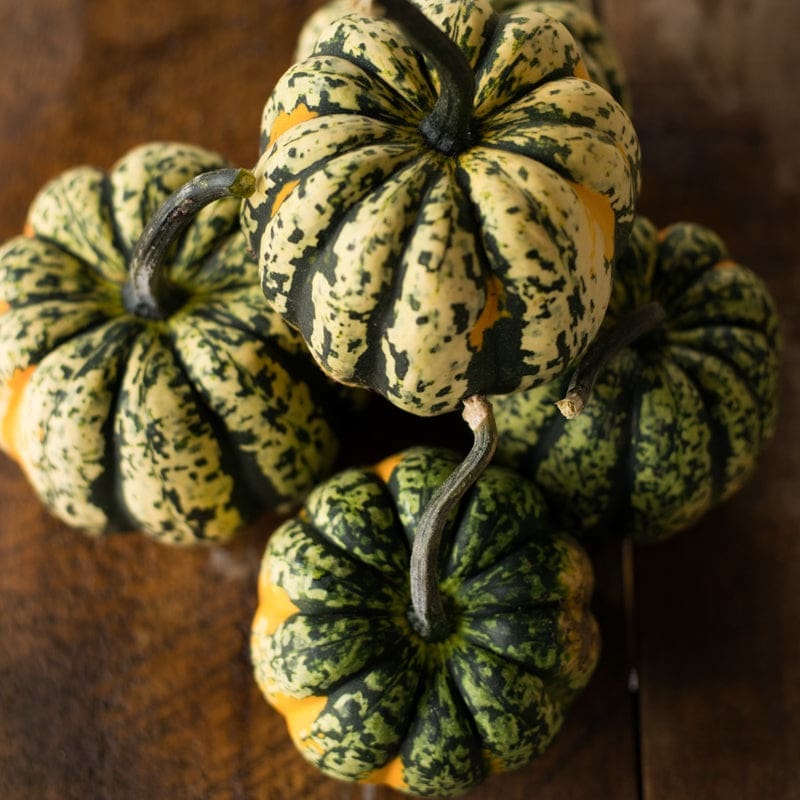 Carnival Winter Squash (F1 Hybrid, 85 Days)
