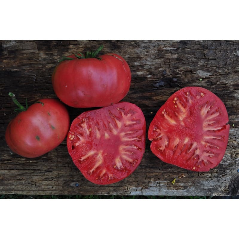 Climbing Triple Crop Tomato (80 Days)